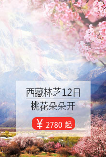 西藏桃花节