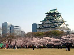 济州岛双飞4日自由行(机票+酒店)