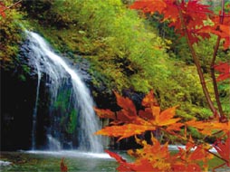 长白山国际旅游度假区+长白山北坡双飞3日半自由行(机票、酒店)