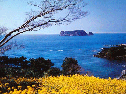 济州岛5日自由行(机票、酒店、接送机)