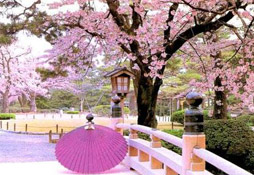 三峡大坝、韶山、凤凰古城、张家界国家森林公园、天门山双飞6日观光之旅