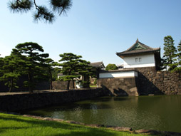 东京一地2+5日游(机票、签证、酒店)