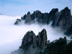 【古韵西安】兵马俑、华清池、华山、法门寺、乾陵、大明宫、双飞五日游(全程准三住宿,全程纯玩无购物,赠送大明宫景区内电瓶车+IMAX电影《大明宫传奇》)