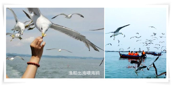 金石滩+渔船出海高端定制包团1日游(0购物0自费,精华多馆+渔家体验)
