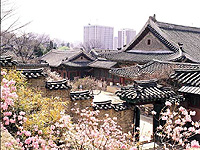 韩国首尔一地5日自由行(东大门宜必思酒店)
