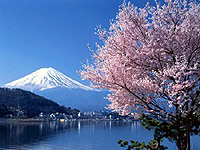 日本7日自由行
