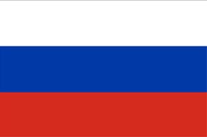 俄罗斯个人旅游签证【有过往俄罗斯签证+出入境记录】