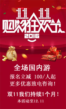 双十一促销活动!